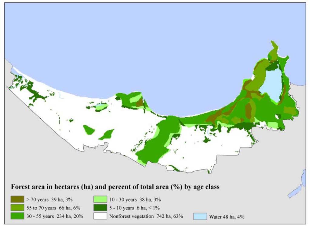 7. Análisis de Cobertura y Usos de Suelo El Servicio Forestal Federal ha llevado a cabo una serie de análisis sobre cobertura y usos de suelo en Puerto Rico, que incluyen los terrenos de la RNCEN.