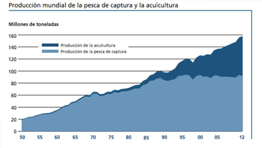 Producción Pesquera Producción mundial pesca y acuacultura Ha ido en aumento en los últimos 50 años.