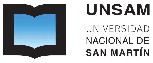 UNIVERSIDAD NACIONAL DE GENERAL SAN MARTIN Licenciatura en Ciencia