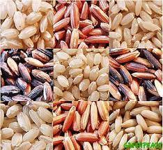 Variedades criollas de arroz Departamento: Municipio Comunidad/organización: Agricultor(a): Fecha: Nombre de la variedad Ubicación Clima: - Frio (F) - Medio (M) Cálido (C) Cómo reconozco la planta y