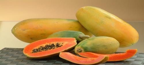Frutales: Guamo, guayaba, ciruelo, mango, cítricos, guanábana, piña, aguacate, lulo, tomate de árbol, papaya, anón, otros.