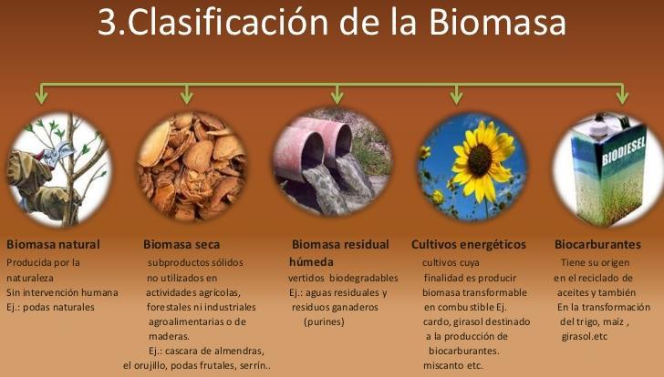 Fuentes de energía renovables Energía de la Biomasa: Es la que se obtiene de los compuestos orgánicos mediante procesos biológicos naturales.