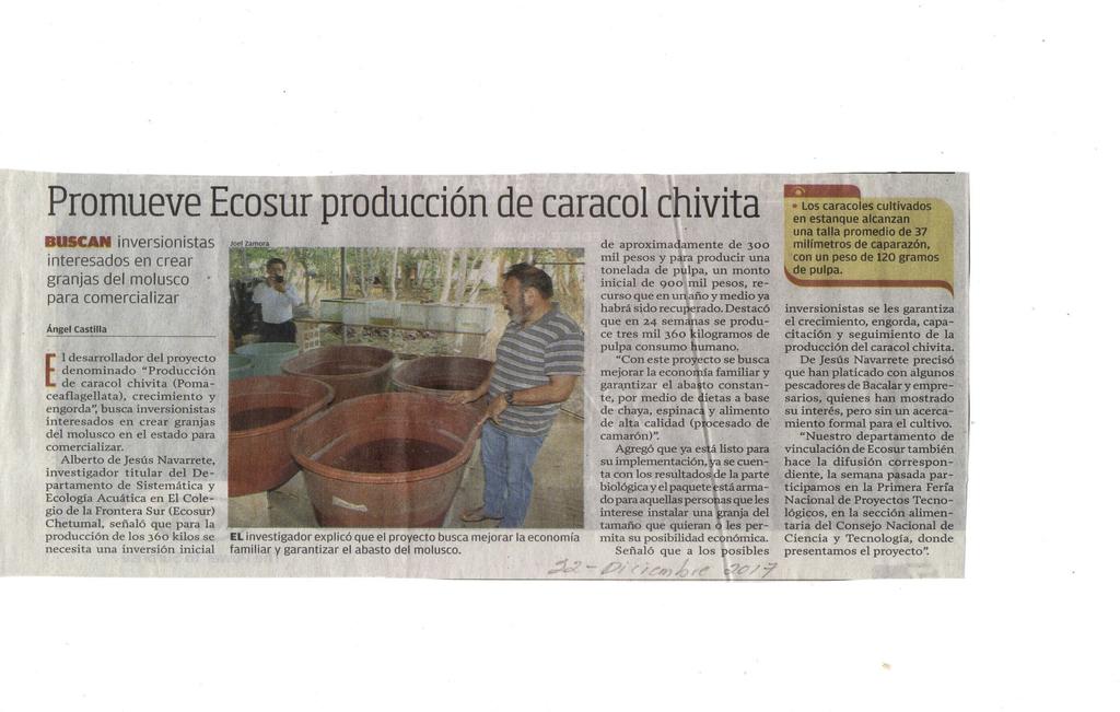 PÁGINA 6 Promueve ECOSUR Producción de Caracol Chivita. Viernes 22 de diciembre, publicación impresa, Novedades de Quintana Roo Grupo SIPSE.