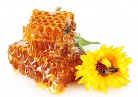 Miel de abejas Es una solución sobresaturada de azúcar que elaboran las abejas para alimentar a sus larvas.