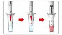 Fácil de operar. 2 Tome la muestra de sangre y verifique que el volumen sea de ul (no bloquear 3 el agujero del spoit).