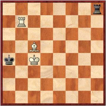 O site do Xadrez - 71/81 mejores jugadas, porque entonces Svídler hubiera reclamado al árbitro la regla de las 50 jugadas (sin mover un peón ni capturar una pieza), y se hubiera decretado el