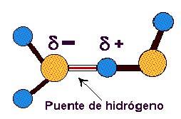 Página 3 de 19 carga parcial positiva. El ángulo de enlace entre los hidrógenos es de 105.