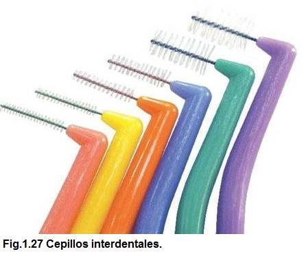 26) Cepillos interproximales De características pequeñas, de forma cónica o cilíndrica y con sus fibras dispuestas en espiral (fig.1.27).