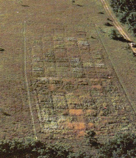 y heath scrublands en Australia Tilman (1996) 7.