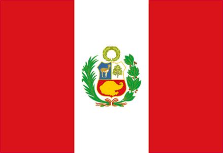 PERÚ TOTAL IST 0 3 6 3 0 1 The 81% of the Internet users in Peru are using online