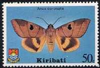 Lepidoptera : Ethmiidae : Ethmia