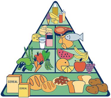 Nutrición La OMS define a la nutrición como la ingesta de alimentos en relación con las necesidades dietéticas del organismo.