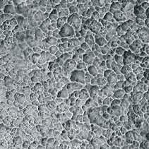 Superficies rugosas La meticulosa morfología superficial de PALTOP es creada por dos etapas secuenciales: el chorreado de arena, dirigido a crear microporos en forma de cráteres, seguido de grabado
