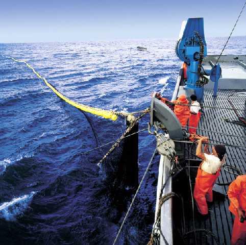CERTIFICACIÓN DE LA PESQUERIA DE LA ANCHOVETA Por iniciativa de la Sociedad Nacional de Pesquería, se va a iniciar un proceso de certificación internacional Marine Stewardship Council