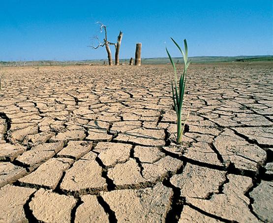 La Mega Sequía 2009-2014 Consecuencias, causas y proyecciones René D.