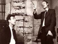 El milagro de la vida Watson y Crick 1953 : "Hemos descubierto el secreto de la vida Francis Crick 1981: " Un científico