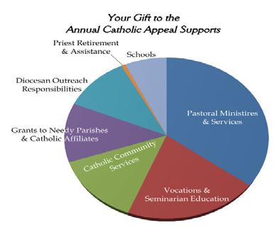 Todas las donaciones a la Campaña Católica Anual son totalmente deducibles de los impuestos.