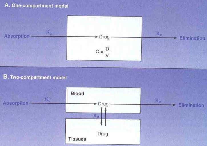 Farmacocinética: modelos La [ ] de un fármaco en el compartimiento central (sangre) está en función de la dosis administrada y