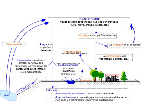 El ciclo hidrosocial El movimiento del agua dentro del ciclo hidrológico se