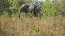! Día 9 Uaga/Po / Parque de Nazinga 120 asfalto 30 pista. El Parque de Nazinga es una reserva, principalmente de elefantes, pero que también pueden verse más especies.