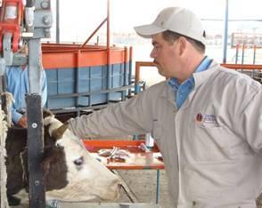 Conocer desde un inicio costo para toma de decisiones de venta de ganado más
