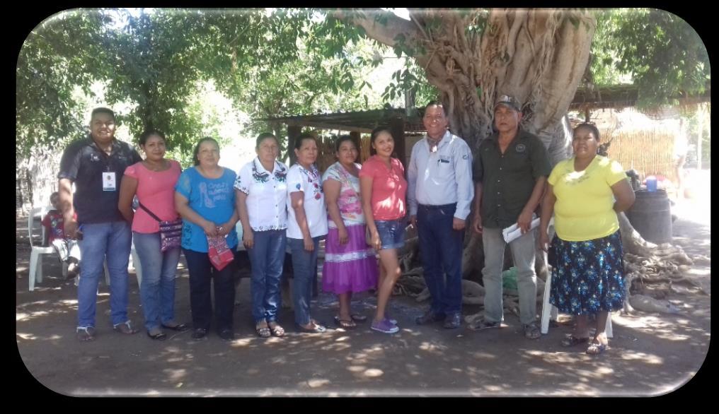 Miércoles 17 de agosto: El Instituto Municipal Indigenista tomó protesta al Comité de Participación Ciudadana Indígena en la comunidad de Tórim donde los ciudadanos aprovecharon el
