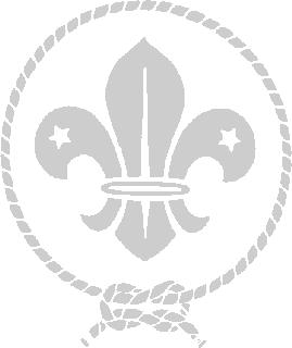Investiga y comparte con toda la Comunidad lo encontrado acerca de la historia del Movimiento Scout y la