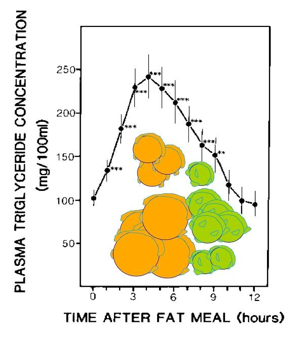Beneficial long-term effects of a low-fat, high complex carbohydrate diet supplemented with long-chain