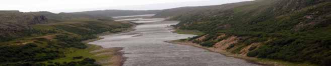 descripcion El Río Kharlovka y su río hermano East Litza son dos de los ríos más productivos del mundo en la pesca del Salmón Atlántico, y la combinación de hermosos y grandes peces plateados, con el