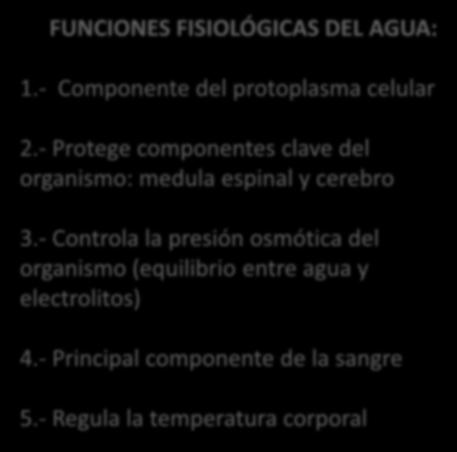 FUNCIONES FISIOLÓGICAS DEL AGUA: 1.- Componente del protoplasma celular 2.