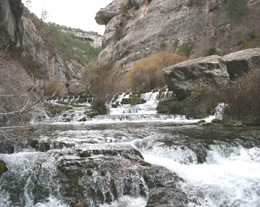 Tramo del nacimiento del Pitarque Respecto al Monumento Natural nacimiento del río Pitarque Señalar en primer lugar que se trata de una zona eminentemente fluvial, por lo que desde este Consejo se