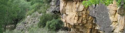 La mayoría de los cantiles rocosos presentan localizaciones resguardadas o soleadas con comunidades
