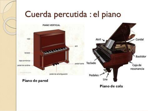 - PERCUTIDA: el sonido se produce al golpear o percutir las cuerdas a través de macillos accionados con un teclado -El piano: tiene 88 teclas, se considera el instrumento rey de la música, por la