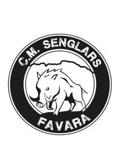 REGLAMENT Article 1. El IV Trail dels Senglars està organitzat pel Club d Esports de Muntanya Senglars Favara i l Excel lentíssim Ajuntament de Favara.