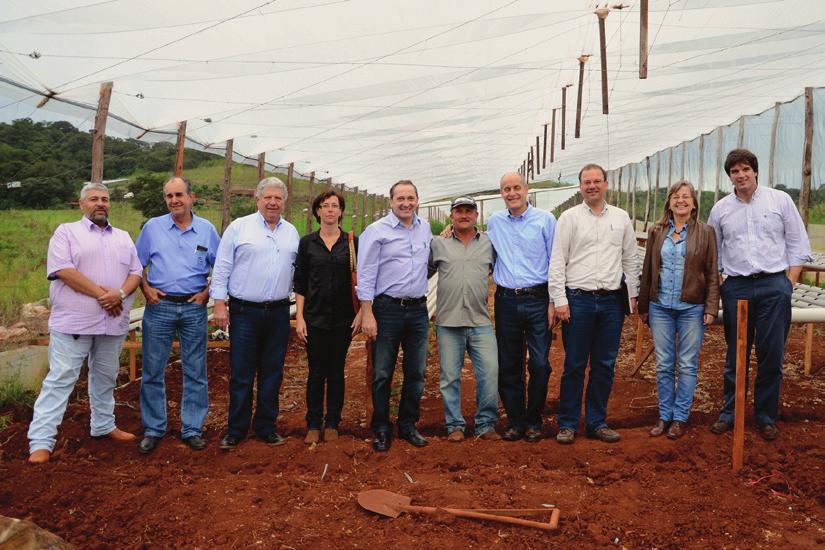 Colaboramos en 2014 con un grupo de 26 productores que produjeron mas de 300 toneladas de tomates para la cadena de abastecimiento de Arcos Dorados.