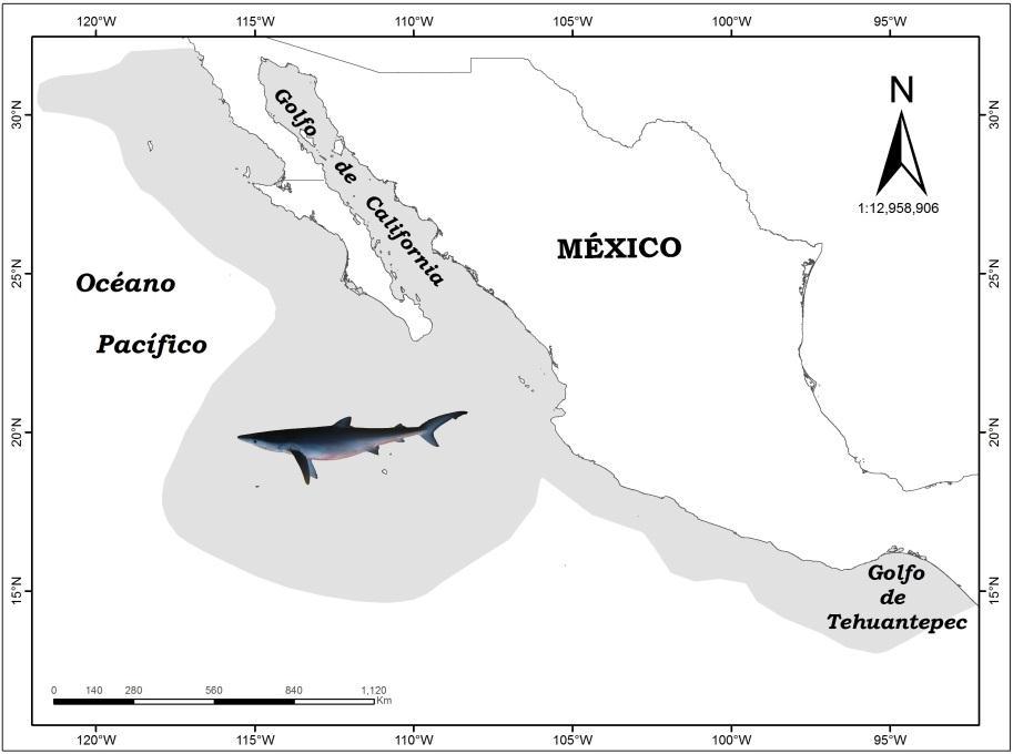 algunas veces en el Golfo de Tehuantepec; y la pesca ribereña artesanal que se lleva a cabo a lo largo de todo el litoral del pacífico (Soriano-Velázquez et al., 2006).