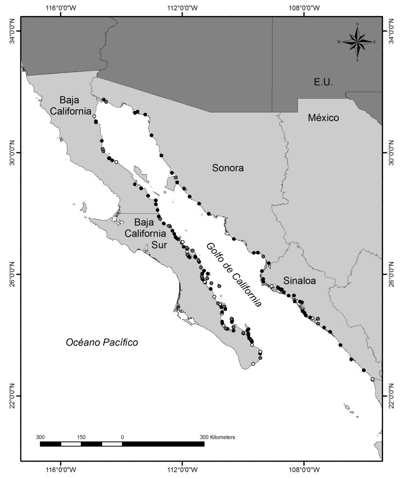Figura 7. Ubicación de los campamentos pesqueros artesanales (n = 147) documentados a lo largo del Golfo de California durante 1998-1999.