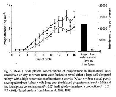 Concentración Plasmática de Progesterona en Vacas Inseminadas y Faenadas el Día 16 Fecundación Establecimiento de Preñez Mann et al.