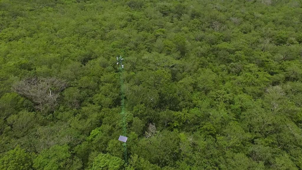 Súper sitio de monitoreo ambiental, Parque Nacional Santa Rosa, Guanacaste, Costa Rica: 10 billones de puntos de información por año Flujos de CO 2