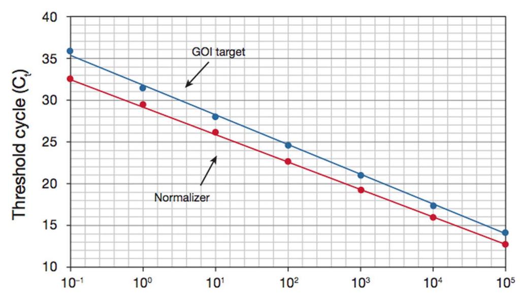 Si las eficiencias de amplificación no son iguales, tenemos que aplicar la corrección por la eficiencia cinética de la PCR Starting quantity (pg total RNA) Fold