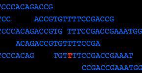 Dos Diferentes Aproximaciones en función del Fenotipo EXOMA DIRIGIDO EXOMA TRIO Secuenciación Exónica Selección de Genes Análisis de Variantes 19.