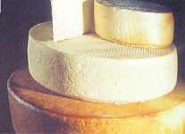 Intoxicación n por Staphylococcus aureus En Costa Rica los brotes se han asociado al consumo de queso fresco de fabricación n