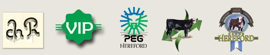 Programas Hereford Puro Registrado Hereford. Vientre Pampa Seleccionado. Programa Evaluación Genética.