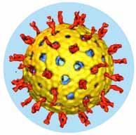 Cuando enferma, produce: Cómo volverse inmune?: Con la vacuna contra el Rotavirus. Quiénes y cuándo deben vacunarse? Todos los niños y niñas menores de 7 meses.