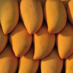 Las frutas y hortalizas de este grupo son una fuente importante de vitamina C. Se debe a los carotenos, pigmentos vegetales.