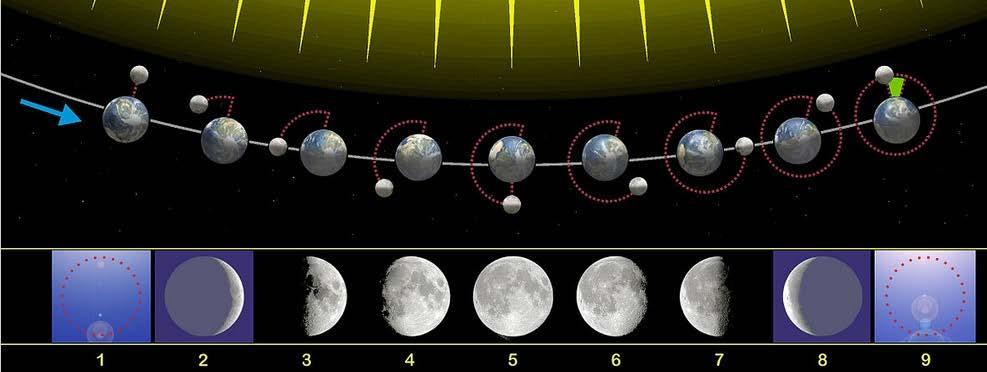 Órbita y Fases de la Luna