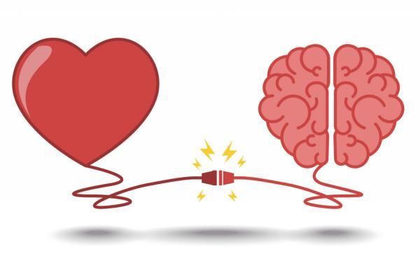 HUMANISMO AVANZADO Conectar el cerebro con el corazón