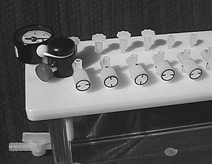 Figura 2 Colector montado (sin cartuchos) Instalación de las puntas de aguja y de las válvulas de llave de paso En la Figura 2 se muestra la instalación de una llave de paso con el mango de la