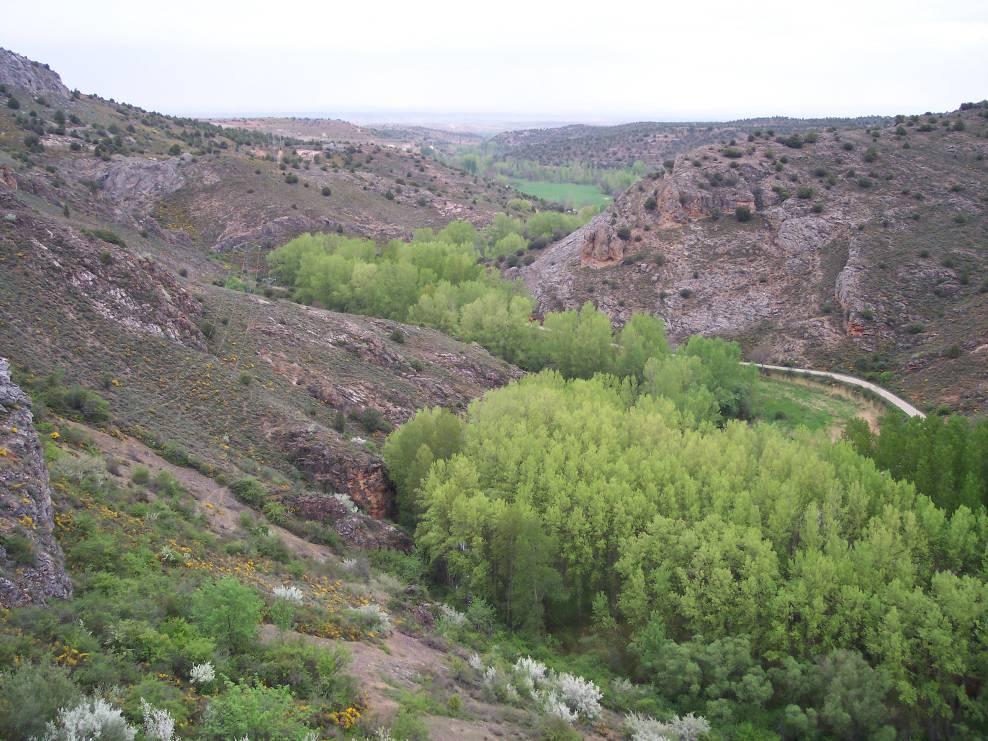 - Valle del Caracena, visto hacia el norte (hacia aguas abajo), desde la Atalaya Arabe.