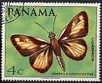 tenera Lepidoptera : Hesperiidae :